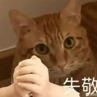 种爷